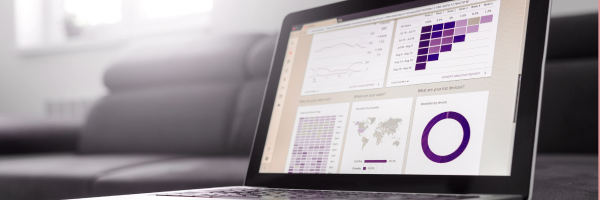 Data visualization services